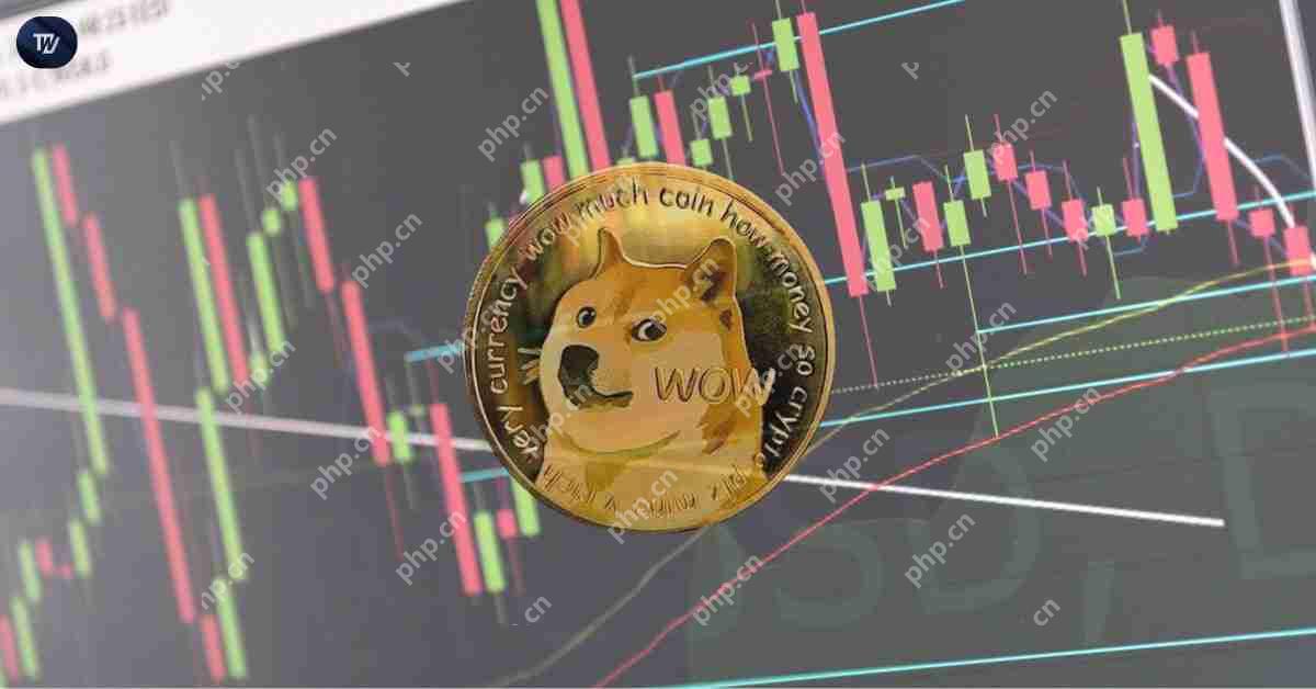 随着动量的建立